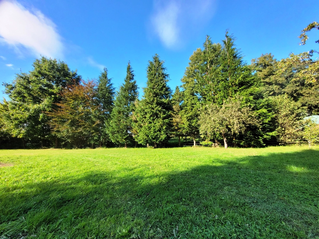 Hof Drögemühle - Landwirtschaft - Land und Wald